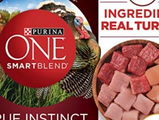 Purina ONE High Protein, Probiotics, Grain Free Dry Dog Food, Smartblend True Instinct Turkey, Duck & Quail – 24 lb. Bag Reviews