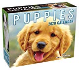 Puppies 2020 Mini Day-to-Day Calendar