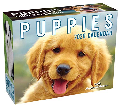 puppies-2020-mini-day-to-day-calendar-reviews-bullymix-official
