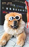 2019-2020 Monthly Pocket Planner: Funny Chow Chow Dog in Sunglasses (2 Year Agenda)