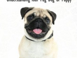 Pugs – The Owner’s Guide from Puppy to Old Age  Choosing, Caring for, Grooming, Health, Training and Understanding Your Pug Dog or Puppy Reviews