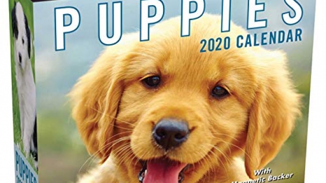 Puppies 2020 Mini Day-to-Day Calendar Reviews Puppies 2020 Mini Day-to-Day Calendar Reviews