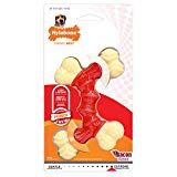 Nylabone Double Bone Power Chew Long-Lasting Dog Toy