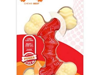 Nylabone Double Bone Power Chew Long-Lasting Dog Toy