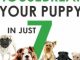 Puppy Training: How to Housebreak Your Puppy in Just 7 Days! (puppy training, dog training, puppy house breaking, puppy housetraining, house training a puppy) Reviews