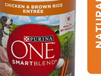 Purina ONE Natural, High Protein Gravy Wet Dog Food, SmartBlend Tender Cuts Chicken & Brown Rice – (12) 13 oz. Cans