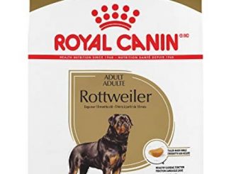 Royal Canin Rottweiler Adult Breed Specific Dry Dog Food, 60 lb. bag