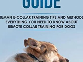 Shock Collar Dog Training Guide: Human E-collar Training Tips and Methods, Everything You Need to Know About Remote Collar Training for Dogs