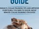 Shock Collar Dog Training Guide: Human E-collar Training Tips and Methods, Everything You Need to Know About Remote Collar Training for Dogs