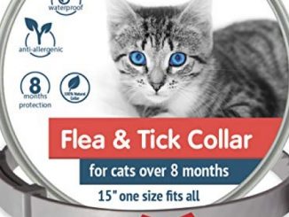 Flea Tick Prevention for Cats – Cat Flea Collars Flea Tick Prevention Cat Flea Treatment Flea Protection Pet Flea Collars Fit All Cats Fleas Ticks for Flea Control Cats