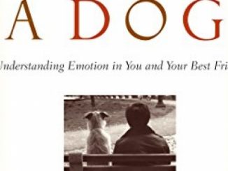 For the Love of a Dog: Understanding Emotion in You and Your Best Friend