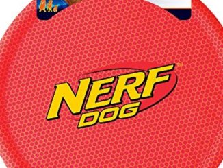 Nerf Dog Nylon Flyer Dog Toy, Frisbee, Lightweight, Durable and Water Resistant, Great for Beach and Pool, 9 inch diameter, for Medium/Large Breeds,  Single Unit, Red
