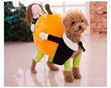 Funny Dog Clothes for Small Dogs, Carrying Pumpkin Halloween Fancy Jumpsuit Puppy Costume, with Cuddly Soft Plush Better to Keep Warm in Winter, for Pet Dogs, Cats.