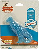 Nylabone Small Puppy Teething Dinosaur Chew Toy