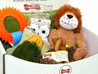 Best Pet Supplies, Inc. Mystery Gift Box for Dogs Reviews