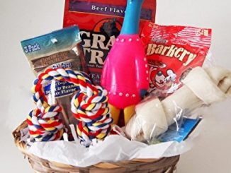 Dog Gift Basket Treats Crewing Toy Holiday Set Reviews