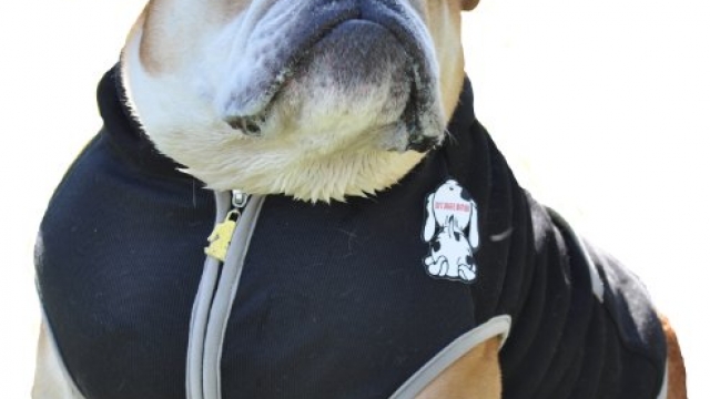 Dog Hoodie, Black Bulldog Large