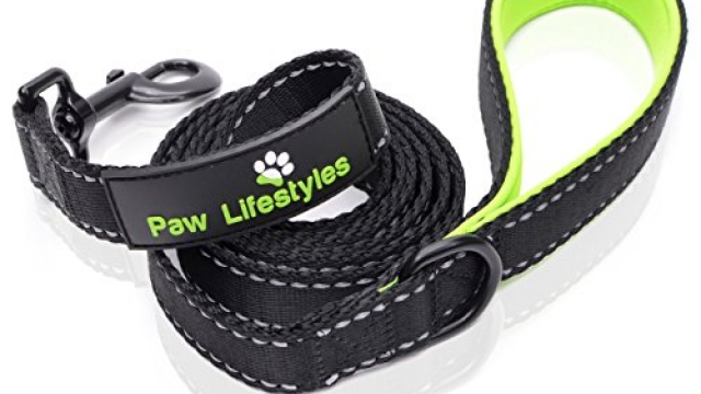 Extra Heavy Duty Dog Leash by Paw Lifestyles – 3mm Thick, Padded Handle, 6ft long – 1″ Wide, Perfect for Medium and Large Sized Dogs