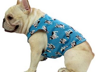 Frenchie Pet Clothing Sky Blue French Bull Dog Prints Clothing for French Bulldog or Pug Pet Wear Reviews