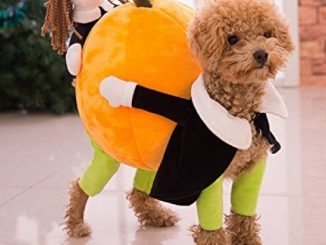 Funny Dog Clothes for Small Dogs, Carrying Pumpkin Halloween Fancy Jumpsuit Puppy Costume, with Cuddly Soft Plush Better to Keep Warm in Winter, for Pet Dogs, Cats.