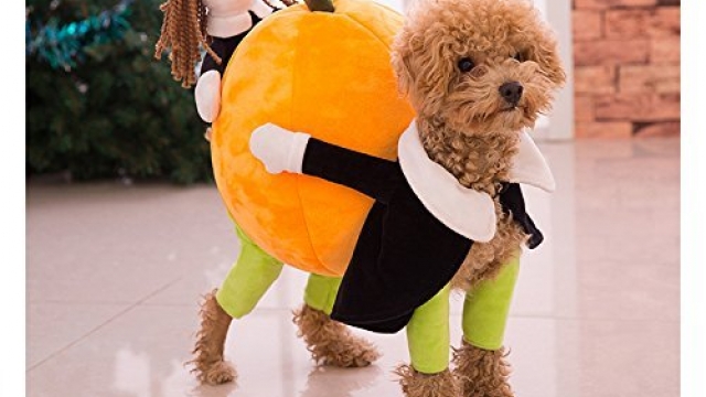 Funny Dog Clothes for Small Dogs, Carrying Pumpkin Halloween Fancy Jumpsuit Puppy Costume, with Cuddly Soft Plush Better to Keep Warm in Winter, for Pet Dogs, Cats.