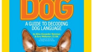 How to Speak Dog: A Guide to Decoding Dog Language Reviews