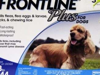 Merial Frontline Plus Flea and Tick Control for 23 to 44-Pound Dogs and Puppies, 3 Doses