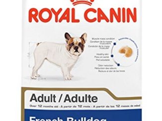 Royal Canin Breed Health Nutrition French Bulldog Adult dry dog food, 17-Pound