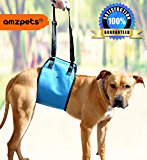 Dog Lift Harness By AMZpets - XL. Support Sling Helps Dogs With Weak Legs Stand Up, Walk, Climb Stairs & Get into Cars.. Best Alternative to Dog Wheelchair. RECOMMENDED BY VETERINARIANS - Extra Large