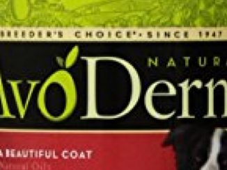 AvoDerm Natural Skin and Coat Formula Shampoo for Dogs and Cats