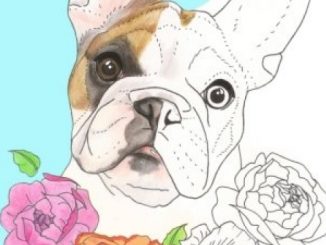 French Bulldog Colouring Book.: Relax with furry friends (Frenchies) (Volume 1)