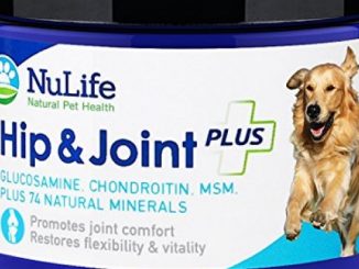 NuLife Natural Pet Health – Glucosamine Chondroitin for Dogs with MSM & Organic Coral Calcium – Hip and Joint Supplement for Arthritis Pain Relief & Improved Mobility – 6oz Powder