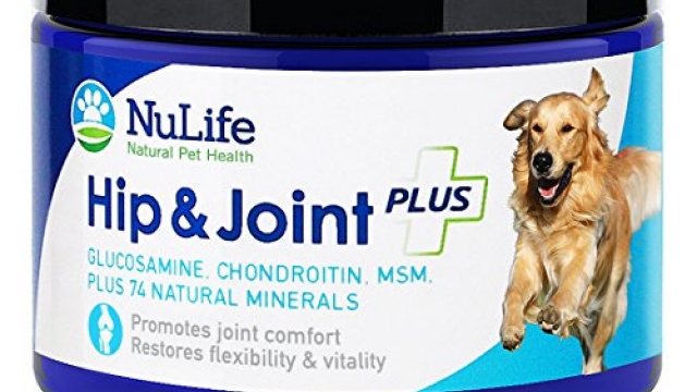 NuLife Natural Pet Health – Glucosamine Chondroitin for Dogs with MSM & Organic Coral Calcium – Hip and Joint Supplement for Arthritis Pain Relief & Improved Mobility – 6oz Powder