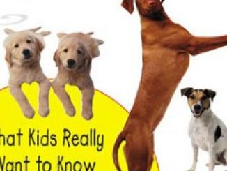 Everything Dog: What Kids Really Want to Know about Dogs (Kids Faqs)