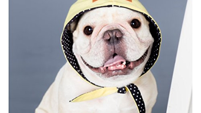 French bulldog clothing reversible Hood Yellow and Black White Dots Street hip hop Style for or Pug pet wear Frenchic Handmade Accessory