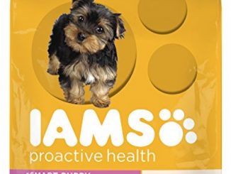 IAMS PROACTIVE HEALTH Smart Puppy Small and Toy Breed Dry Puppy Food 12.5 Pounds