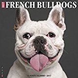 Just French Bulldogs 2017 Wall Calendar (Dog Breed Calendars)
