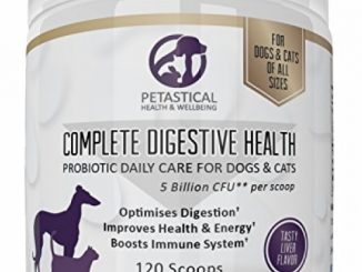 BEST PROBIOTICS For Dogs And Cats | Petastical COMPLETE Probiotics For Pets | Advanced DIGESTIVE HEALTH | 5 BILLION CFU 12 Beneficial Bacterial Strains | Stronger Immune System | 120 Scoops | USA Made Reviews