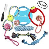 Futuresky Pubby Dog Toys 10 Pack Gift Set Ball Rope and Chew Squeaky Toys Variety Pet Puppies Toys set for Small and Medium Doggie