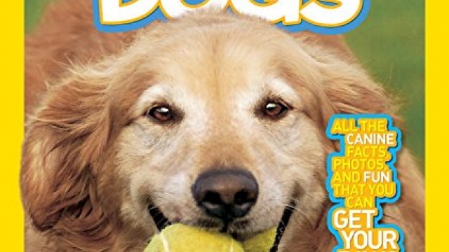National Geographic Kids Everything Dogs: All the Canine Facts, Photos, and Fun You Can Get Your Paws On!