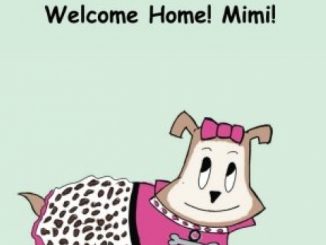 The Adventures of Mimi the Bulldog! Welcome Home! Mimi! (Volume 1)