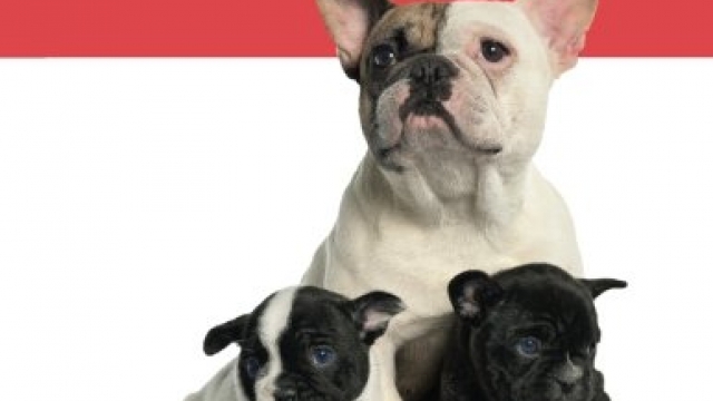 The French Bulldog Handbook (Canine Handbooks)