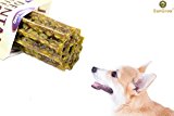 Delicious & Nutritious SunGrow Vegebrand Jumbo Dental Treat for Dogs - All Natural, Refreshing Dog Chew : Preventative Dental Care in an Irressistable Taste