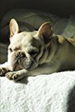 Sweet French Bulldog Pup on the Bed Journal: 150 Page Lined Notebook/Diary