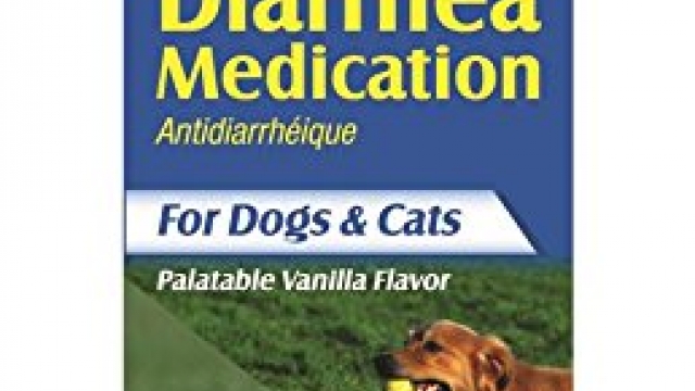 Lambert Kay Pet Pectillin Diarrhea Medication for Dogs and Cats, 4-Ounce