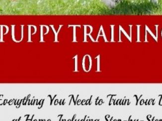 Puppy Training 101:Everything You Need to Train Your Dog at Home, Including Step-by-Step Directions, Solutions to Common Problems, and Suggestions for … your dog,Puppy training books) (Volume 1) Reviews