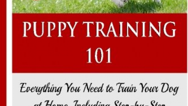 Puppy Training 101:Everything You Need to Train Your Dog at Home, Including Step-by-Step Directions, Solutions to Common Problems, and Suggestions for … your dog,Puppy training books) (Volume 1) Reviews