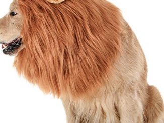 TOMSENN Dog Lion Mane – Realistic & Funny Lion Mane for Dogs – Complementary Lion Mane for Dog Costumes – Lion Wig for Medium to Large Sized Dogs Lion Mane Wig for Dogs