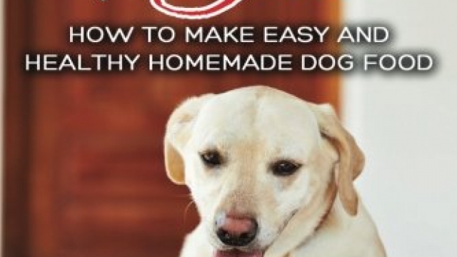 Dog Food Recipes: How to Make Easy and Healthy Homemade Dog Food