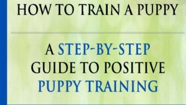 Puppy Training: How To Train a Puppy: A  Step-by-Step Guide to Positive Puppy Training (puppy training books,puppy training,dog training books,puppy … your dog,Puppy training books) (Volume 3)